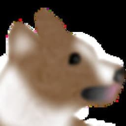 Corgi Flop cover art