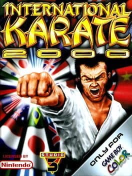 International Karate 2000 cover art