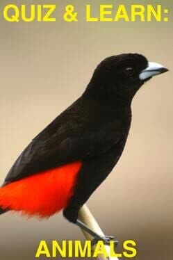 Quiz & Learn: Animals cover art