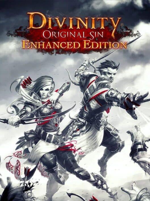 Divinity: Original Sin - Enhanced Edition cover art