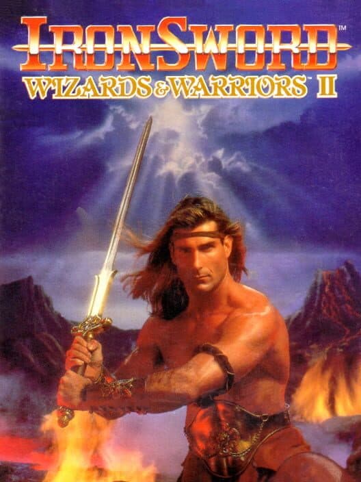 Ironsword: Wizards & Warriors II cover art