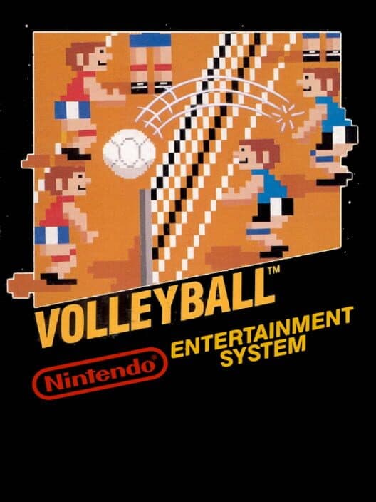 Volleyball cover art