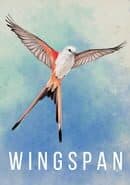Wingspan