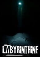 Labyrinthine