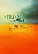 The Stillness of the Wind