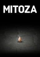 Mitoza