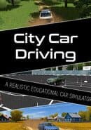 City Car Driving