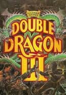 Double Dragon III: The Sacred Stones
