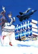 Sonic Wings Special