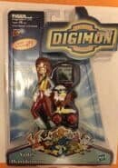 Digimon Yolei and Hawkmon