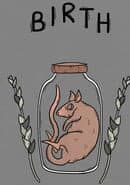 Birth