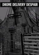 Drone Delivery Despair