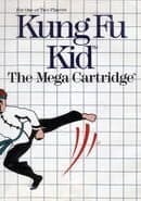 Kung Fu Kid
