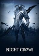 Night Crows