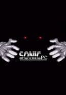 Sonic PC Port Remake