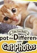 Train Your Brain! Spot the Difference with Cat Photos