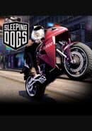 Sleeping Dogs: Ghost Pig