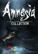 Amnesia: Collection