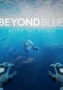 Beyond Blue: After the Storm cover art
