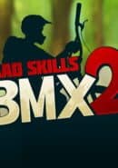 Mad Skills BMX 2