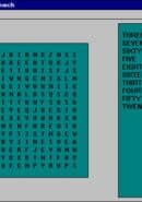 Computer Word Search
