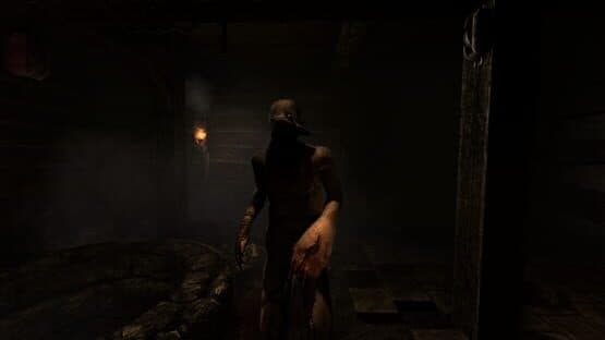 Amnesia: Collection screenshot 2