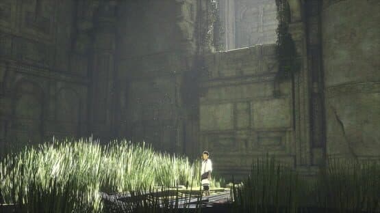 The Last Guardian screenshot 1