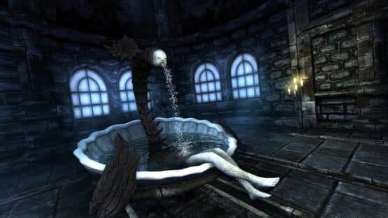 Amnesia: Collection screenshot 1