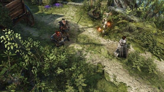 Divinity: Original Sin II screenshot 3