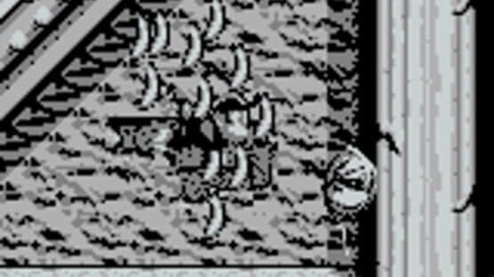 Donkey Kong Land screenshot 3