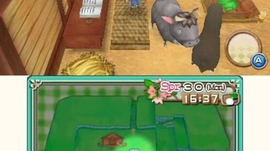 Harvest Moon: A New Beginning screenshot 2