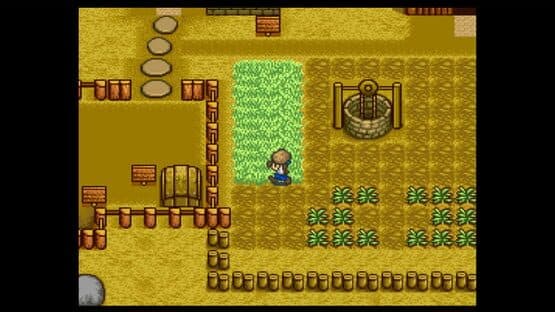 Harvest Moon screenshot 2