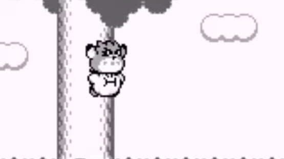 Kirby's Dream Land 2 screenshot 2