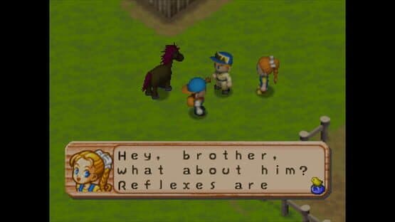 Harvest Moon 64 screenshot 2