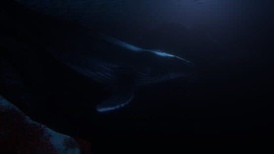 Beyond Blue screenshot 1