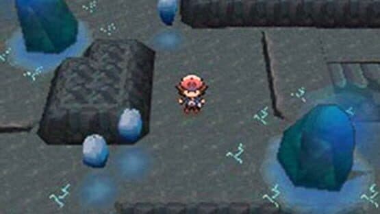 Pokémon Black Version screenshot 2