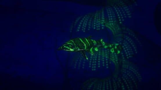 Beyond Blue screenshot 5