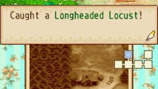 Harvest Moon DS: Grand Bazaar screenshot 3