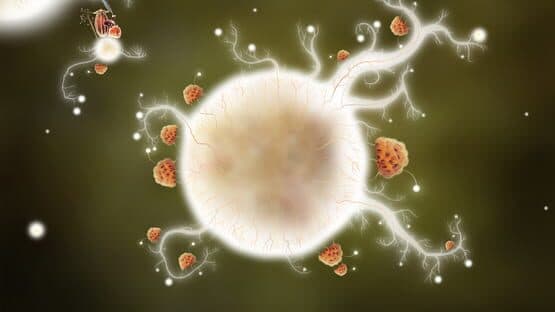 Botanicula screenshot 4