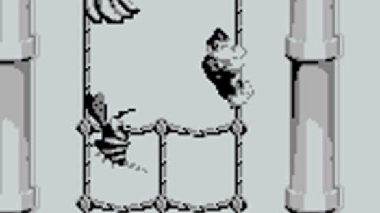 Donkey Kong Land screenshot 5