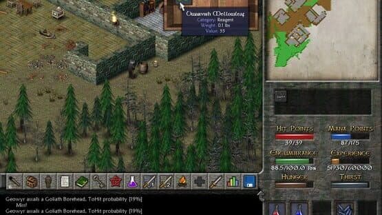 Eschalon: Book II screenshot 5