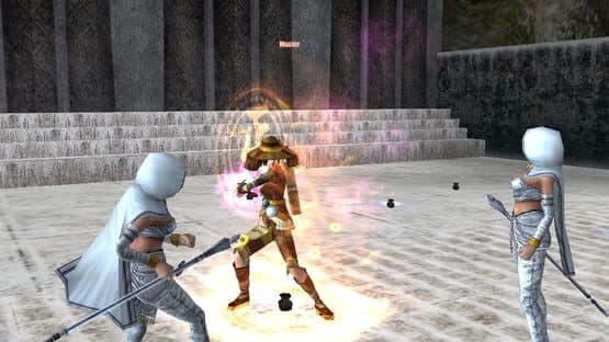 9Dragons screenshot 3