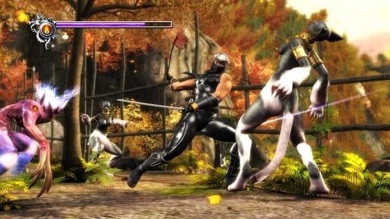 Ninja Gaiden Sigma screenshot 2