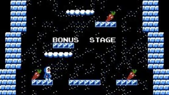 Ice Climber screenshot 4