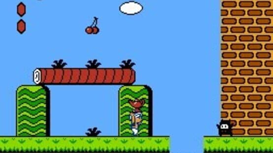 Yume Koujou: Doki-doki Panic screenshot 3