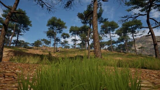Grass Life Sim 2 screenshot 2