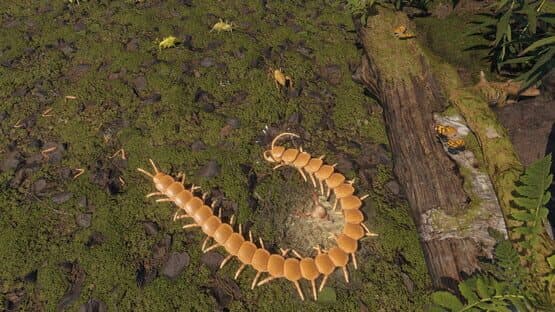 Centipede Simulator screenshot 6