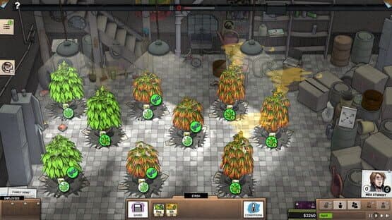 Weedcraft Inc screenshot 2