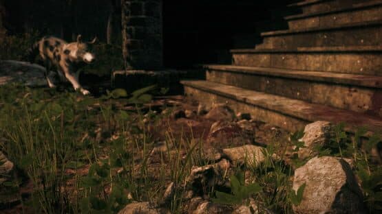 Maid of Sker screenshot 5