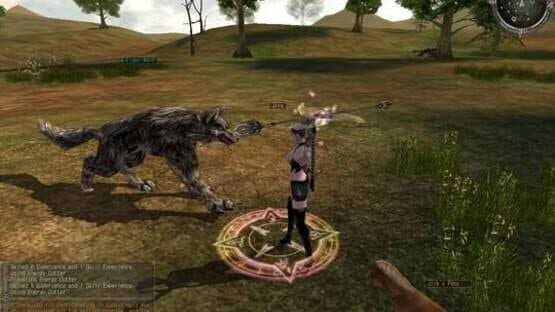 Last Chaos screenshot 3